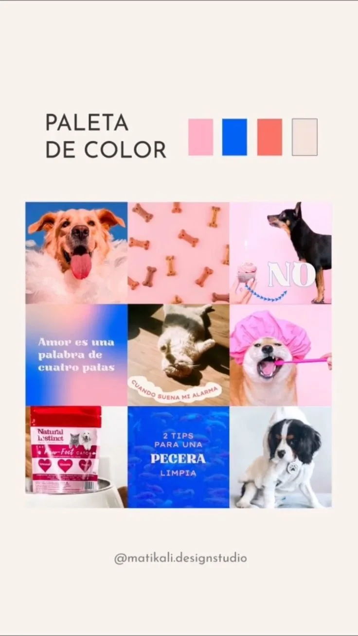 Social Media Design | Diseño de experiencia de usuario, Cv diseñador grafico, Diseño audiovisual