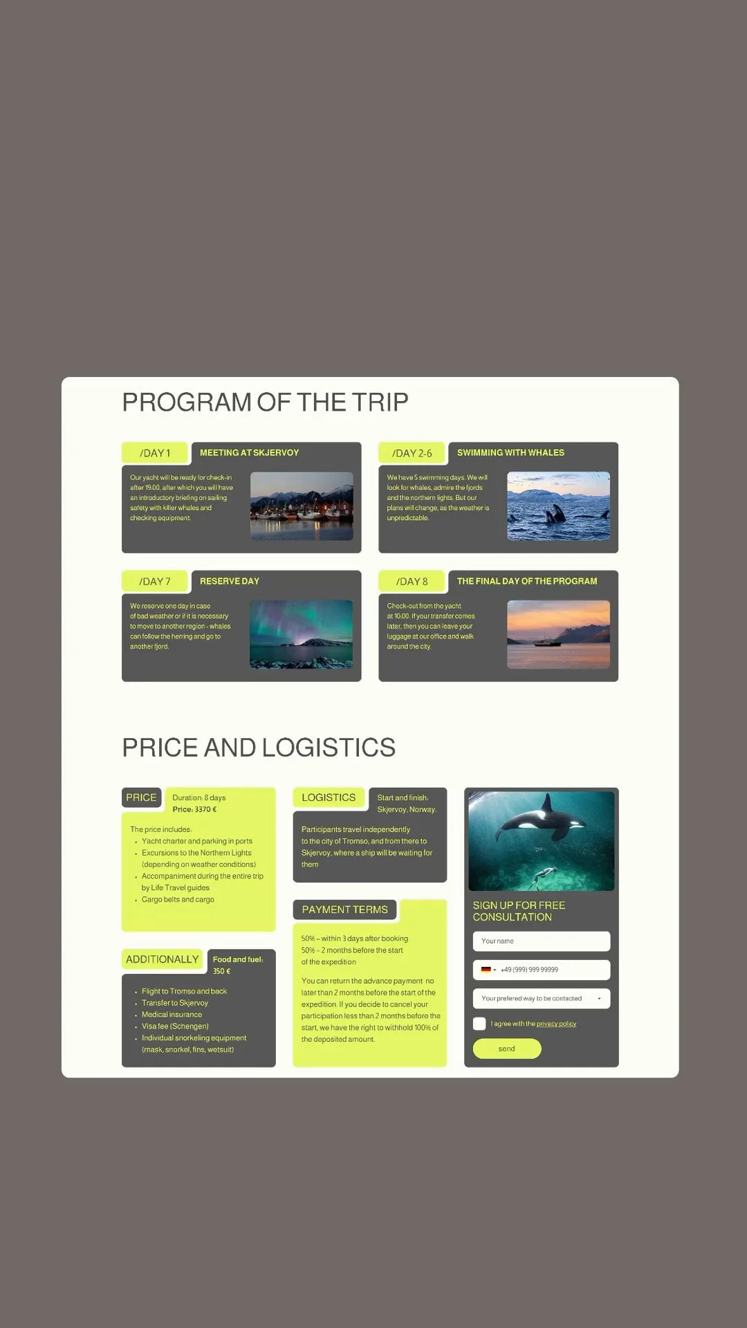 Landing page | ui ux design | web site design | Визитки, Бизнес, Портфолио сайт