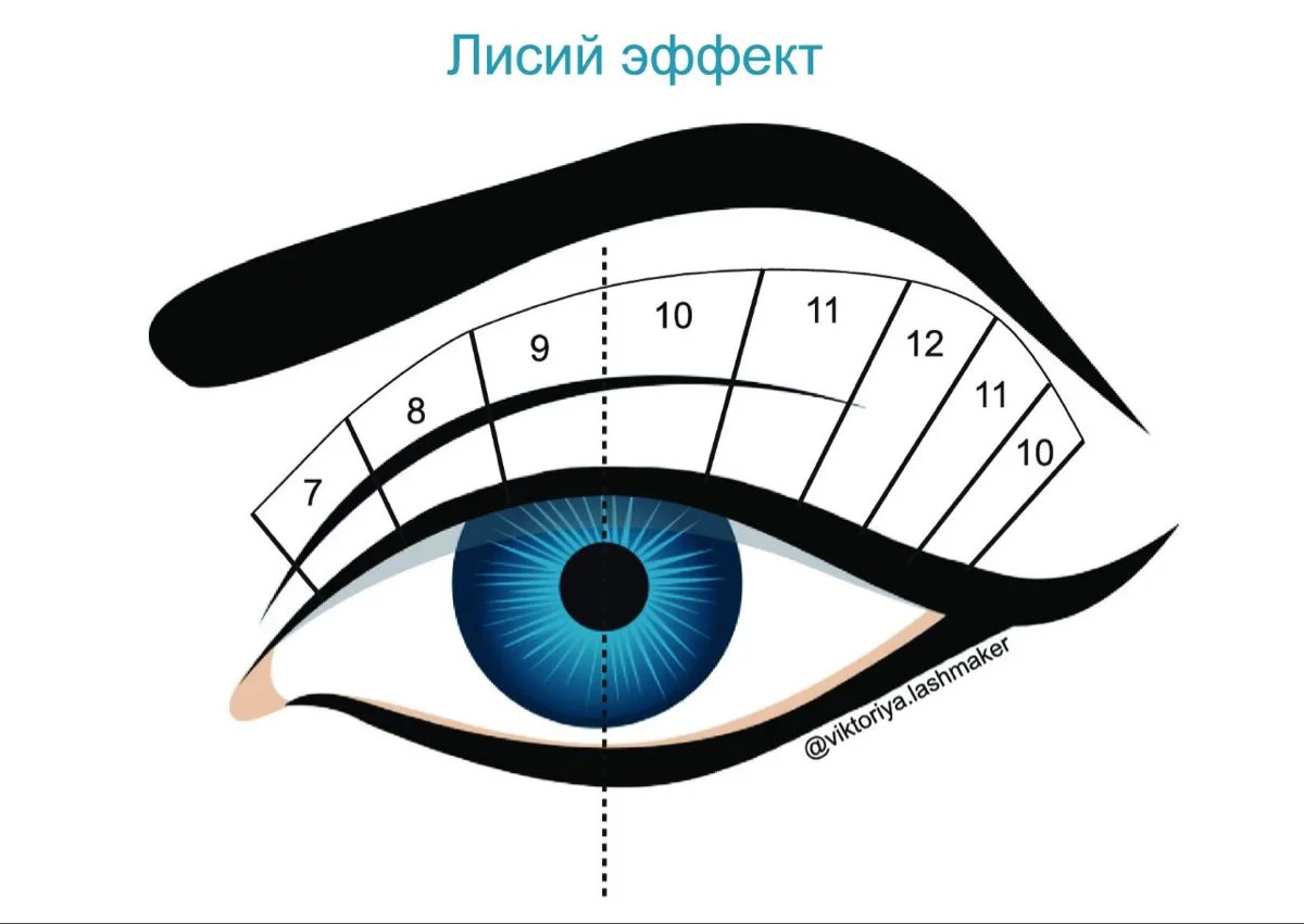 Лисий эффект | Формы глаз, Ресницы советы, Тушь для ресниц
