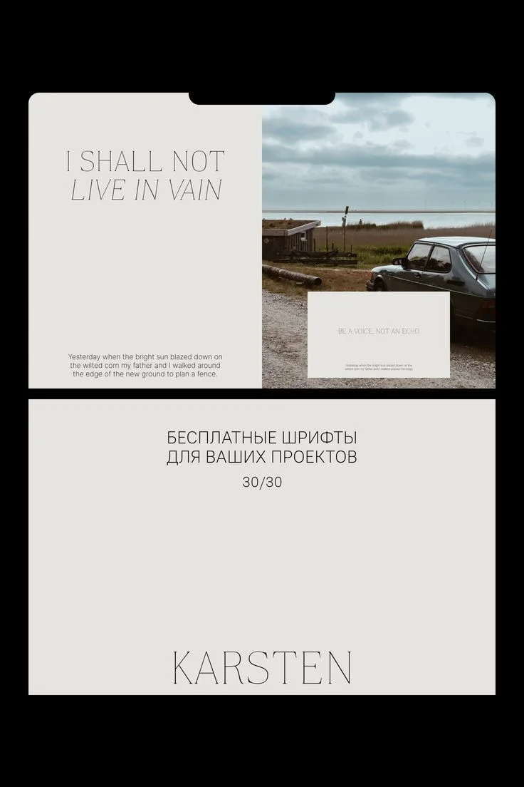 30 бесплатных красивых шрифтов на кириллице | Font love, Font design, Typography