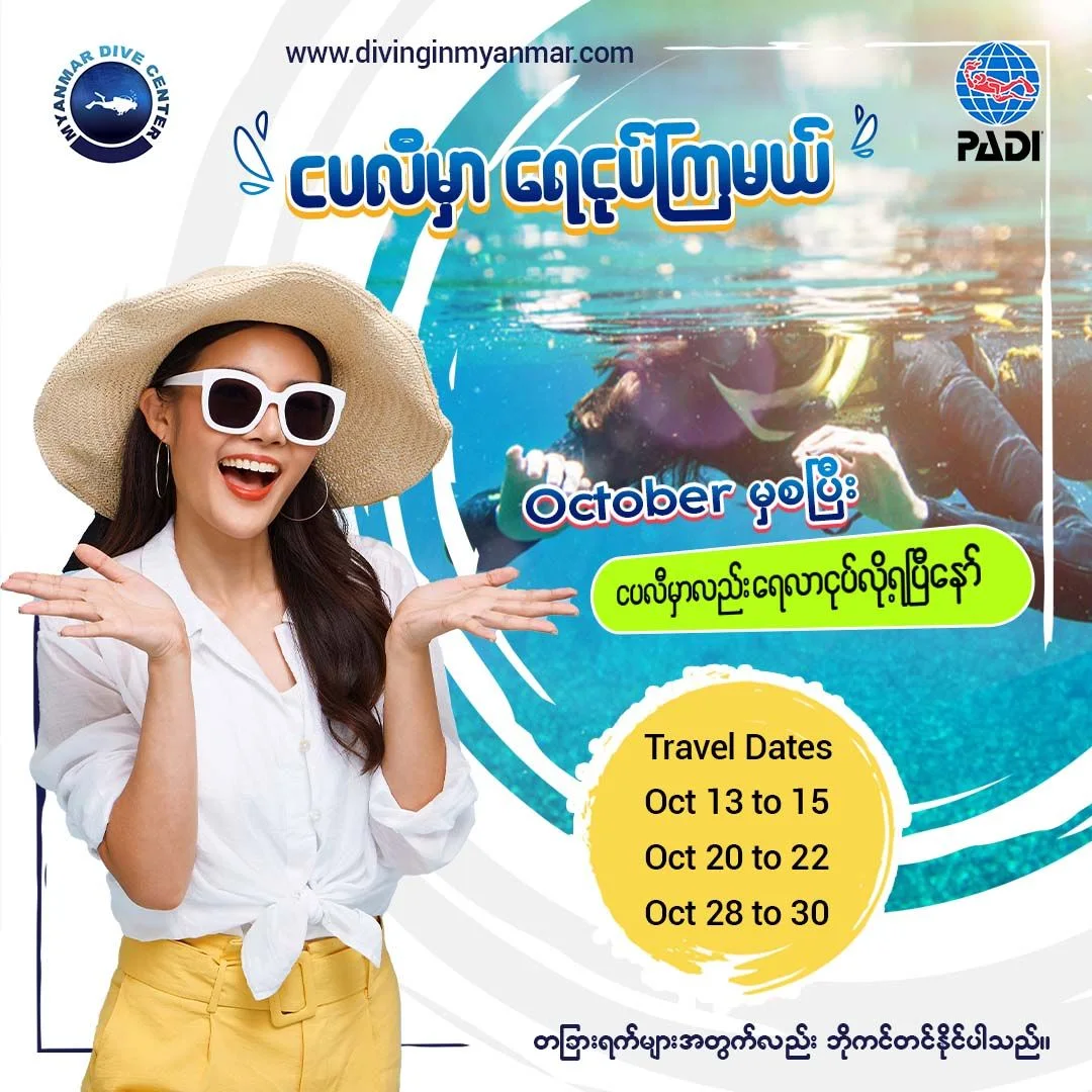 Social Media Design | Ui design trends, Diving center, Scuba diving
